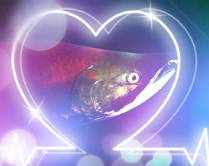 my icon